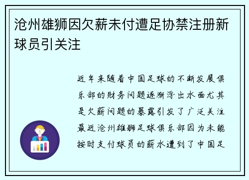 沧州雄狮因欠薪未付遭足协禁注册新球员引关注